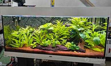 acquario Juwel 180litri