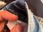 Immagine 4