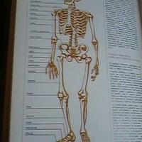 GUIDA SANITARIA ILLUSTR. investire sul futuro