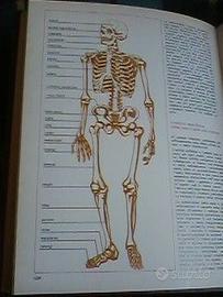 GUIDA SANITARIA ILLUSTR. investire sul futuro
