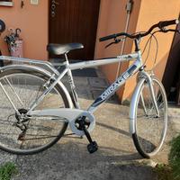 bicicletta da uomo