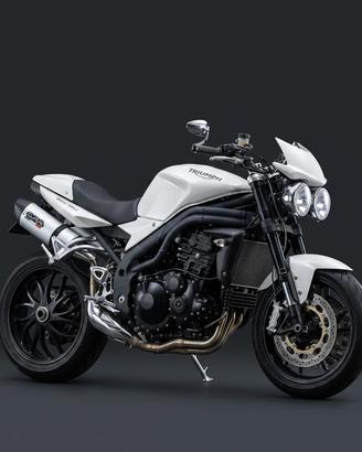 Triumph speed triple 1050