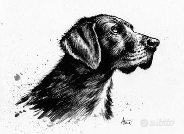 disegno a china cane