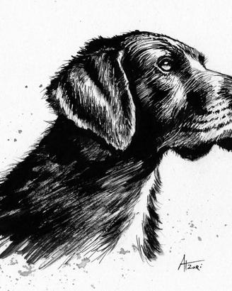 disegno a china cane