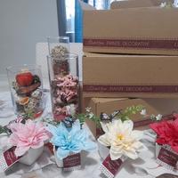 Piantine decorative mini