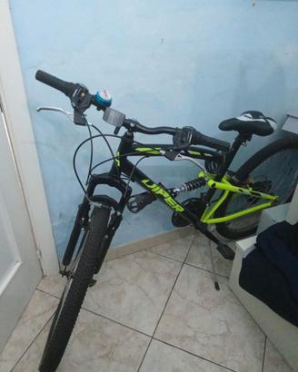 Bicicletta ammortizzata
