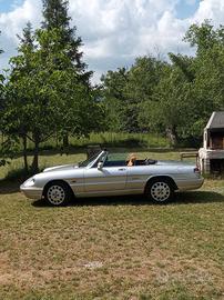Alfa Romeo spider