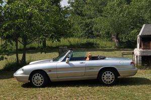 Alfa Romeo spider