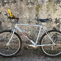 Bici usata Easy Time - pronta all’uso