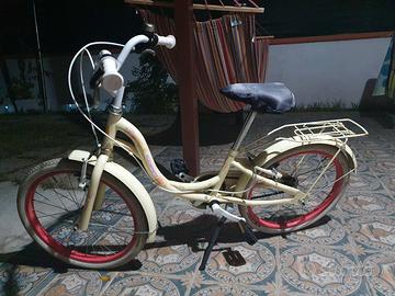 Bicicletta 20