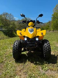 Kymco kxr 250 quad