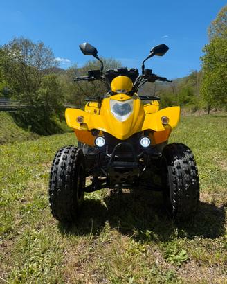 Kymco kxr 250 quad