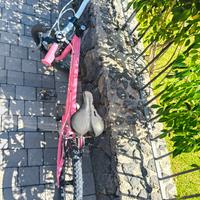 bicicletta  bambina misura 20