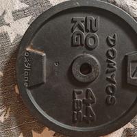 2 Dischi in Ghisa 20 Kg