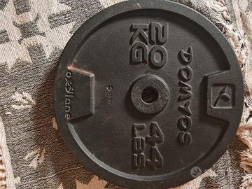 2 Dischi in Ghisa 20 Kg