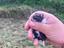 Immagine 2