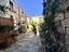 Immagine 17
