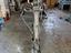 Immagine 5