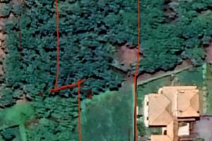 Terreno edificabile con noccioleto