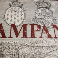 Raro esemplare libro: La Campania 