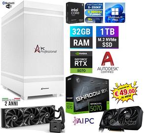PC PRO INTEL 250KF 32GB RAM SSD1TB NVIDIA 5070 W11