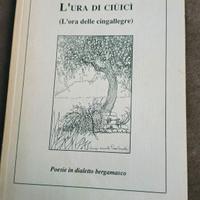 L' ura del Ciüicì