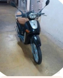 Liberty 50 con paravento