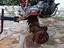 Immagine 1