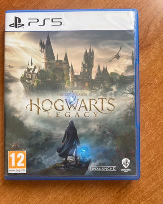 Hogwarts Legacy PS5
