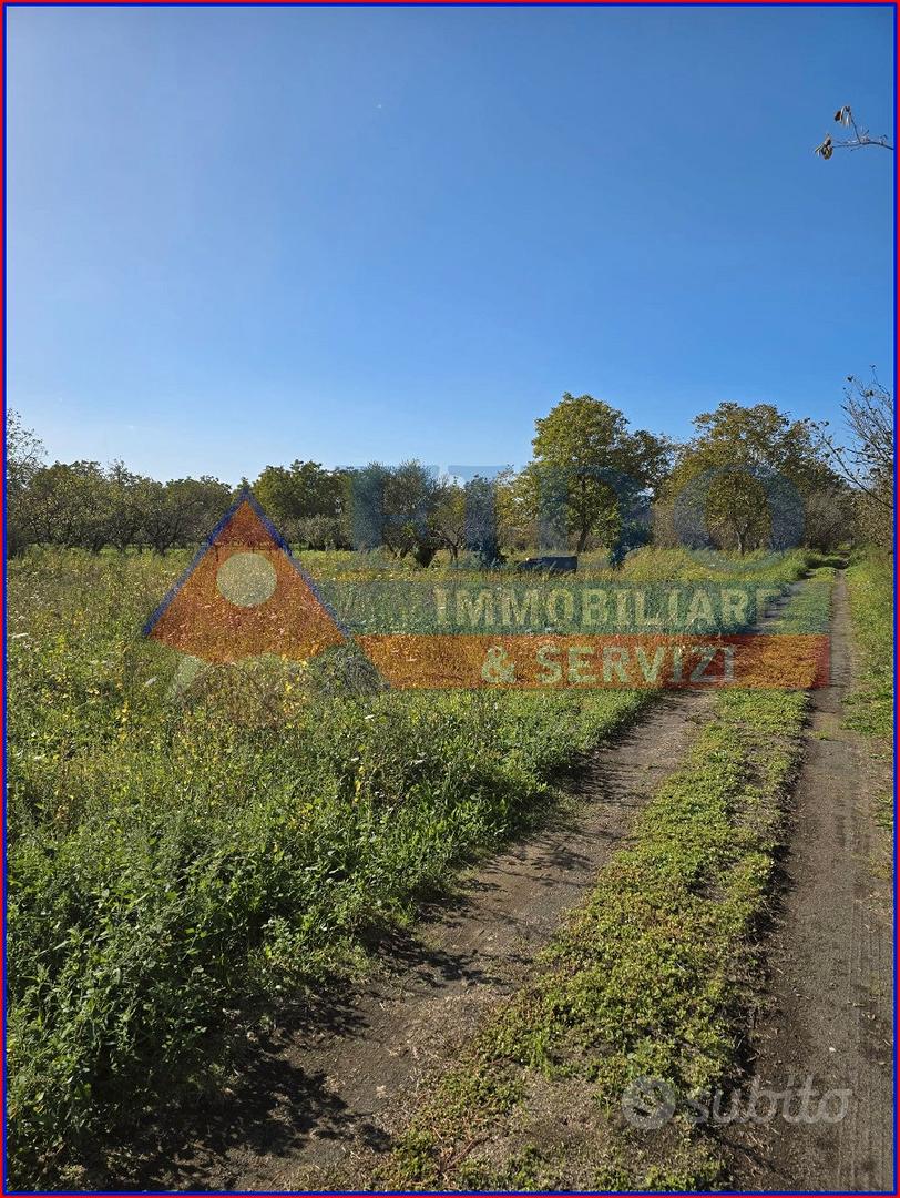 Terreno agricolo di 3.700 mq - Vista 5