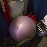 fitball