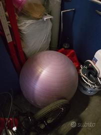 fitball