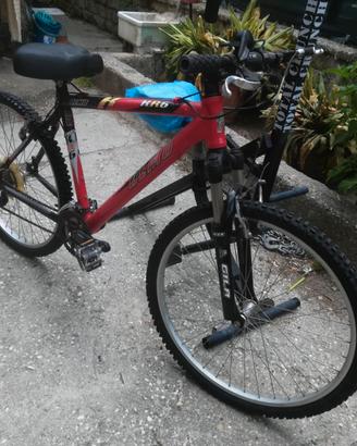 bici MTB