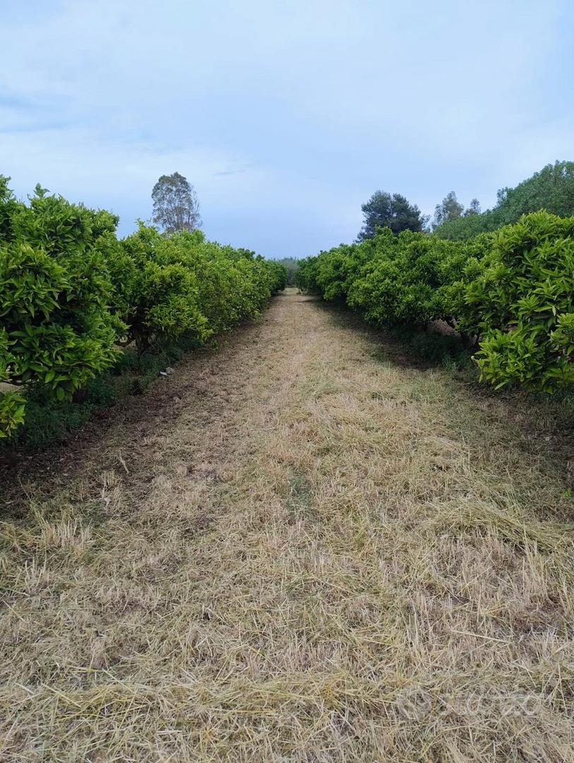 Azienda agricola bio 6 ha con pozzo e fabbricato - Altro