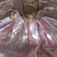 Vestito di carnevale Principessa