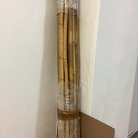 Canne di bamboo
