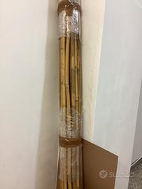 Canne di bamboo