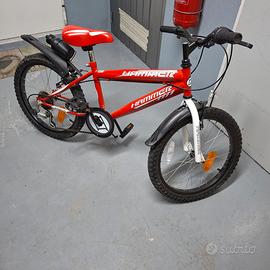 Bici bambino raggio 20
