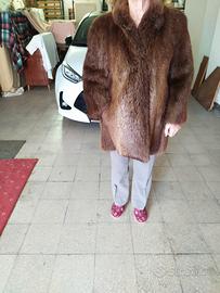 pelliccia di castoro 