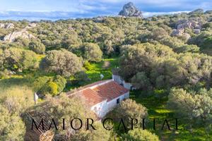 Casa singola - Olbia