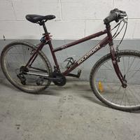 bicicletta MTB donna