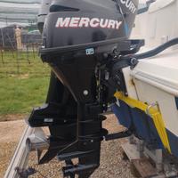 Mercury 9.9 hp