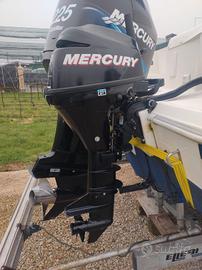 Mercury 9.9 hp