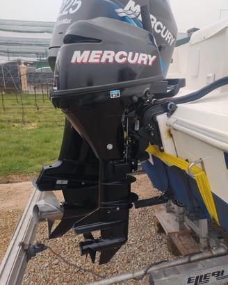 Mercury 9.9 hp