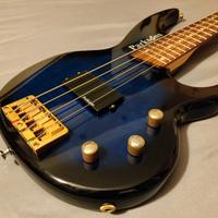 Basso Parksons Professional attivo 4 corde