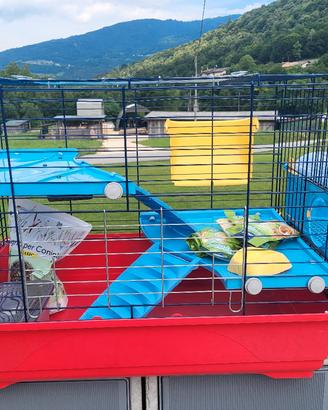 gabbia per coniglio nano