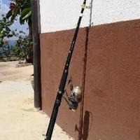 Canna e mulinello Siluro Black Cat