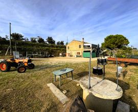Casa Colonica con Terreno - Lapedona