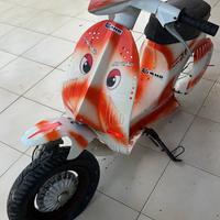 Telaio vespa 50 anni '70 uso pista