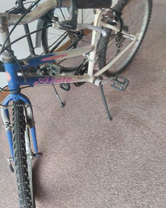 bici donna 24
